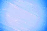8I3Q5065