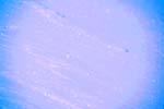 8I3Q5069