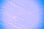 8I3Q5071