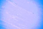 8I3Q5072