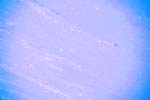 8I3Q5074