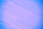8I3Q5075