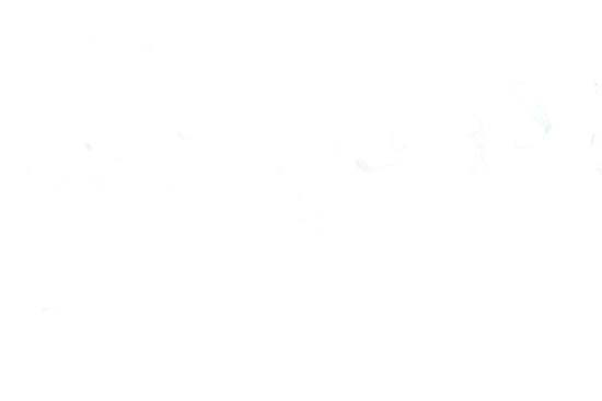8I3Q1335