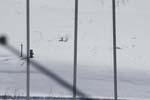SoHo Skiing 114