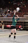 8I3Q0444