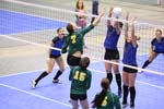 8I3Q0719
