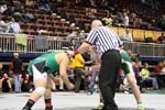 8I3Q8245