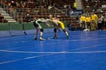 IMG_0382