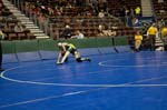 IMG_0385