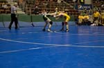 IMG_0388