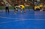 IMG_0390