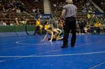 IMG_0405