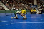 IMG_0415