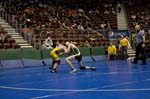 IMG_0420